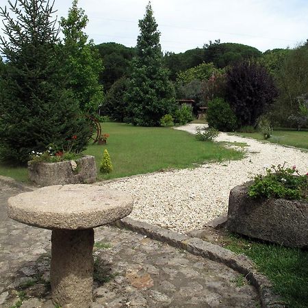 Quinta Do Sobreiro - Country House Facha Room photo